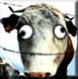 AAAMADCOW