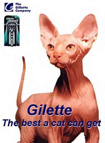 GILLETTE2