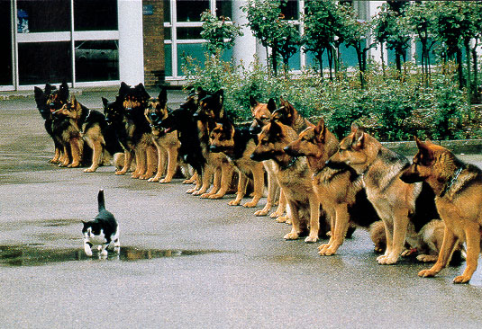 self-confidence
