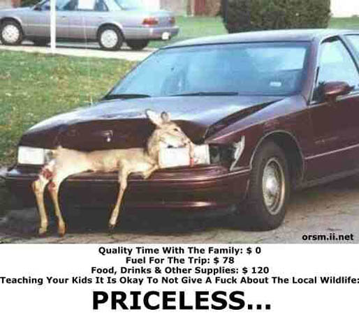 PRICELESS243