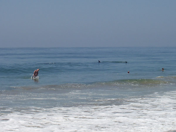ZUMA_BEACH_1_004