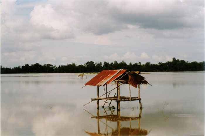THAIMIRRORHOUSE
