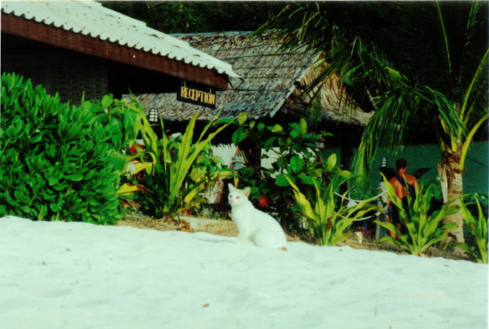 PORTHAICAT